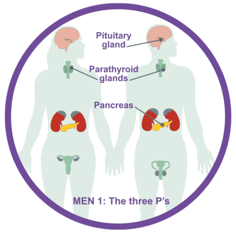 MEN1 - Neuroendocrine Cancer UK