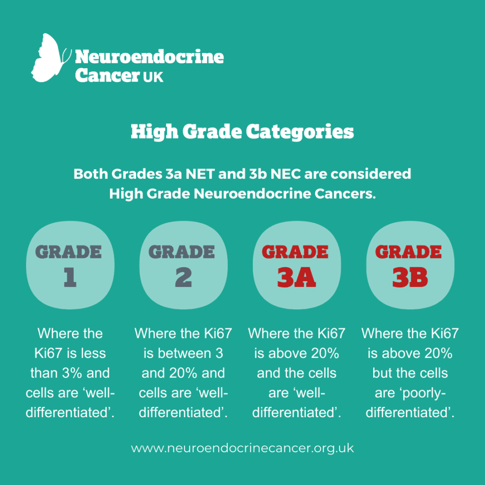 high-grade-neuroendocrine-cancer-neuroendocrine-cancer-uk